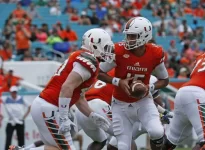 batten backward stripes.webp