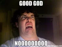 good-god-nooooooooo-meme-50062.webp