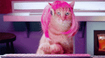 GIF-Typing-cat---Welcome-to-the-Internet.gif