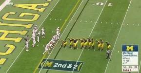 michigan centipede.webp