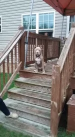 15380869_10210476549008510_6318141574063427945_n.webp 15380869_10210476549008510_6318141574063427945_n.webp