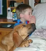 boy_dog_pray.webp