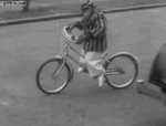 2-Monkey-Riding-a-Bike.jpg
