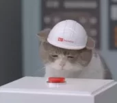 cat-wearing-helmet-pressing-red-button-science-13977774880.webp