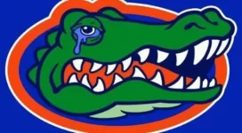 gator tear.webp