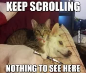 keep-scrolling-nothing-to-see-here.webp