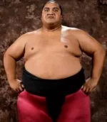 4185188-yokozuna.webp