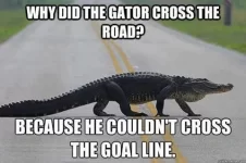 Gators-Suck.webp