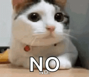 1793033247926.gif