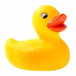 rubber-duck_0.webp