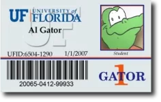 gator1_card_pop.webp