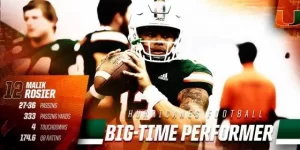 image.webp image.webp