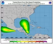 144324.webp 144324.webp