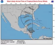 114308_most_likely_toa_no_wsp_34.webp 114308_most_likely_toa_no_wsp_34.webp