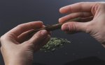 how-to-roll-a-blunt-1280x800.jpg