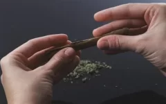 how-to-roll-a-blunt-1280x800.webp