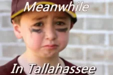 Meanwhile-in-Tallahassee.webp