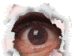 eye.gif