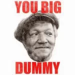 You Big Dummy.webp