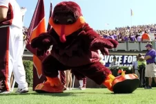 vt_fb_hokiebird_2013_01.webp