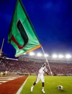 deejay-dallas-fsu-flag-2017-1000.webp