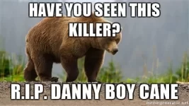 have-you-seen-this-killer-rip-danny-boy-cane.webp have-you-seen-this-killer-rip-danny-boy-cane.webp