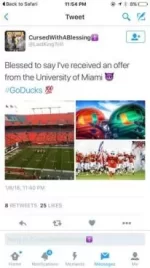 image.webp image.webp