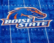 boise-state-field.webp