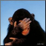 Laughing-chimp-gif-animation.jpg