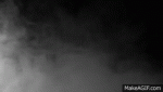 WillingCloudyAdeliepenguin-max-1mb.gif