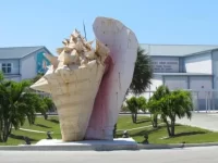 Conch-Shell-20110424-001-1024x768.webp