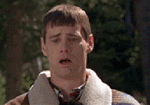 dd2.gif