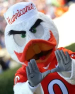 a41bd990ccd18b557defb2cbddcc6d4f--hurricanes-football-miami-hurricanes.webp