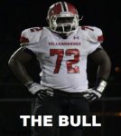 The Bull.jpg