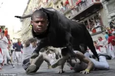 ealr the bull moore.webp