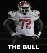 The Bull.webp