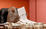 monkey with cash.gif