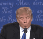 trump gif.gif