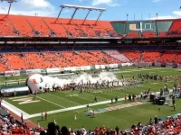 canesnofans.webp