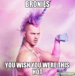 bronies-you-wish-you-were-this-hot-meme-11095.webp