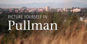 Screen Shot 2019-09-14 at 9.17.07 AM.webp