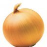 Onion01