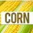 Corn 🌽