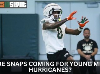 Which Canes players could see MORE SNAPS?